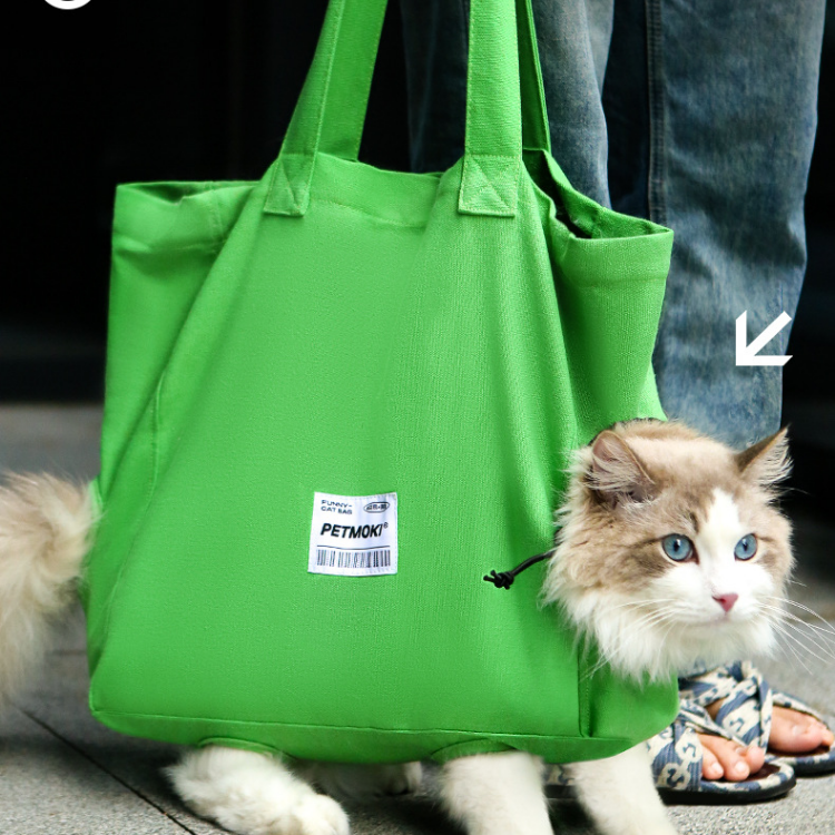 Borsa da trasporto per gatti, simpatica borsa a tracolla in tela