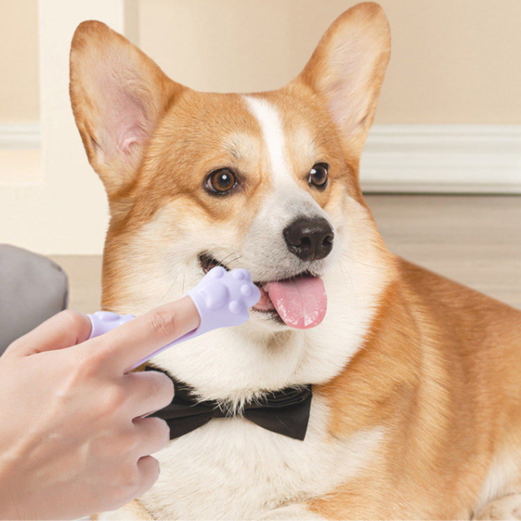 Pet Toothbrush Finger Glove Dental Care