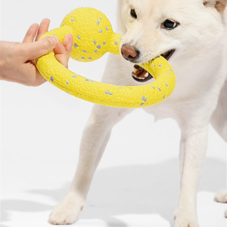 Dog Ring Chew Toys Balls