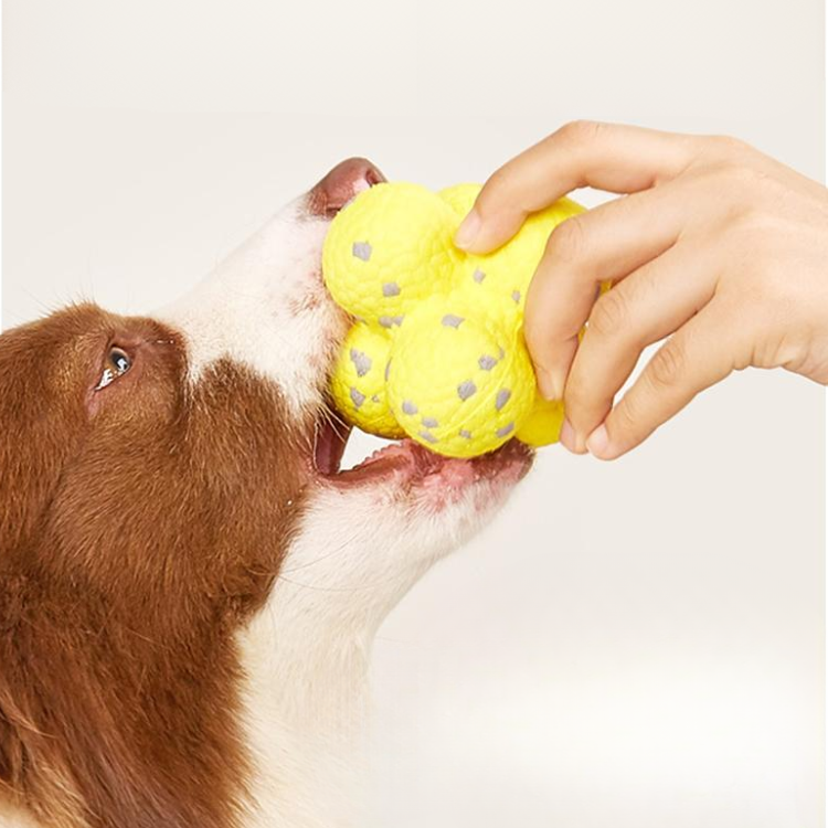 Dog Ring Chew Toys Balls
