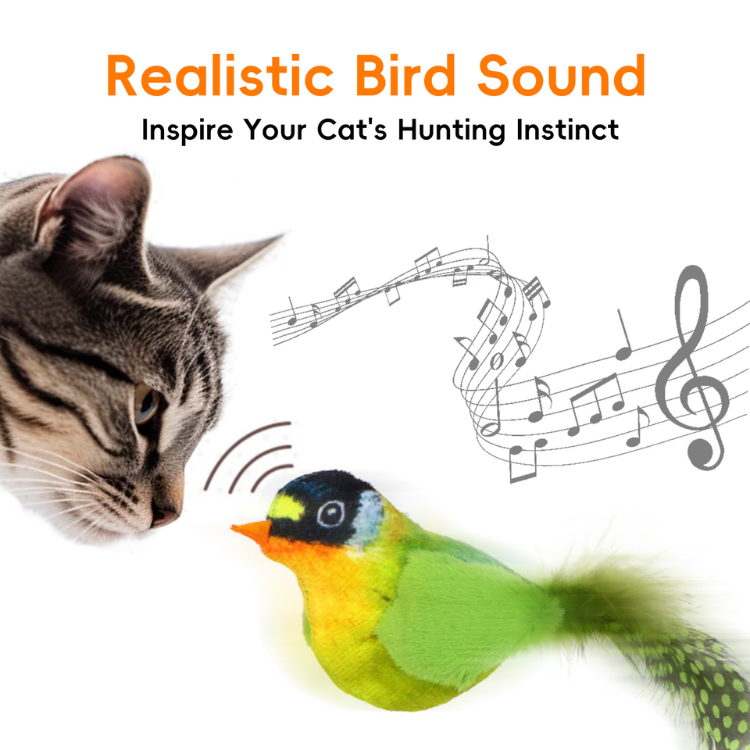Realistic Bird Sound Interactive Cat Toys With Feather