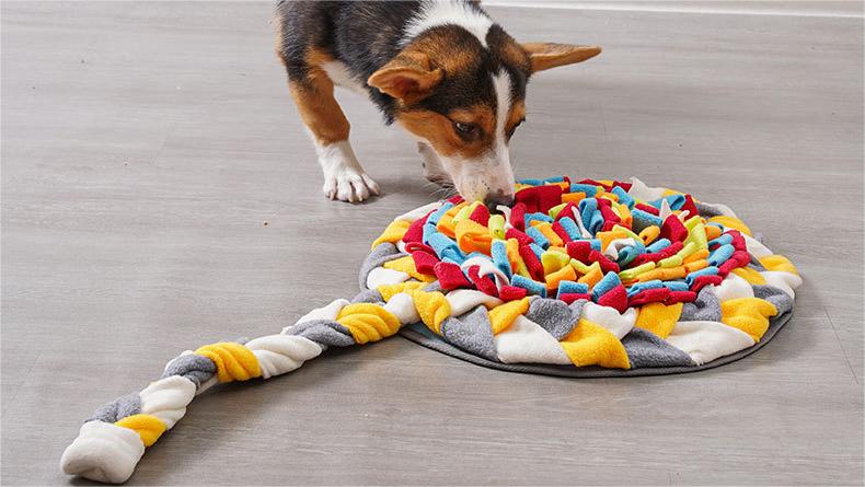The 5 Best Dog Enrichment Toys for 2023