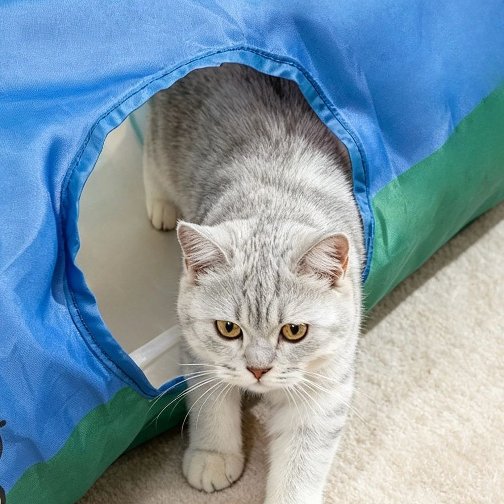 Cartoon Crinkle Cat Tunnel, Collapsible Peek-Hole Play Tube for Indoor Cats