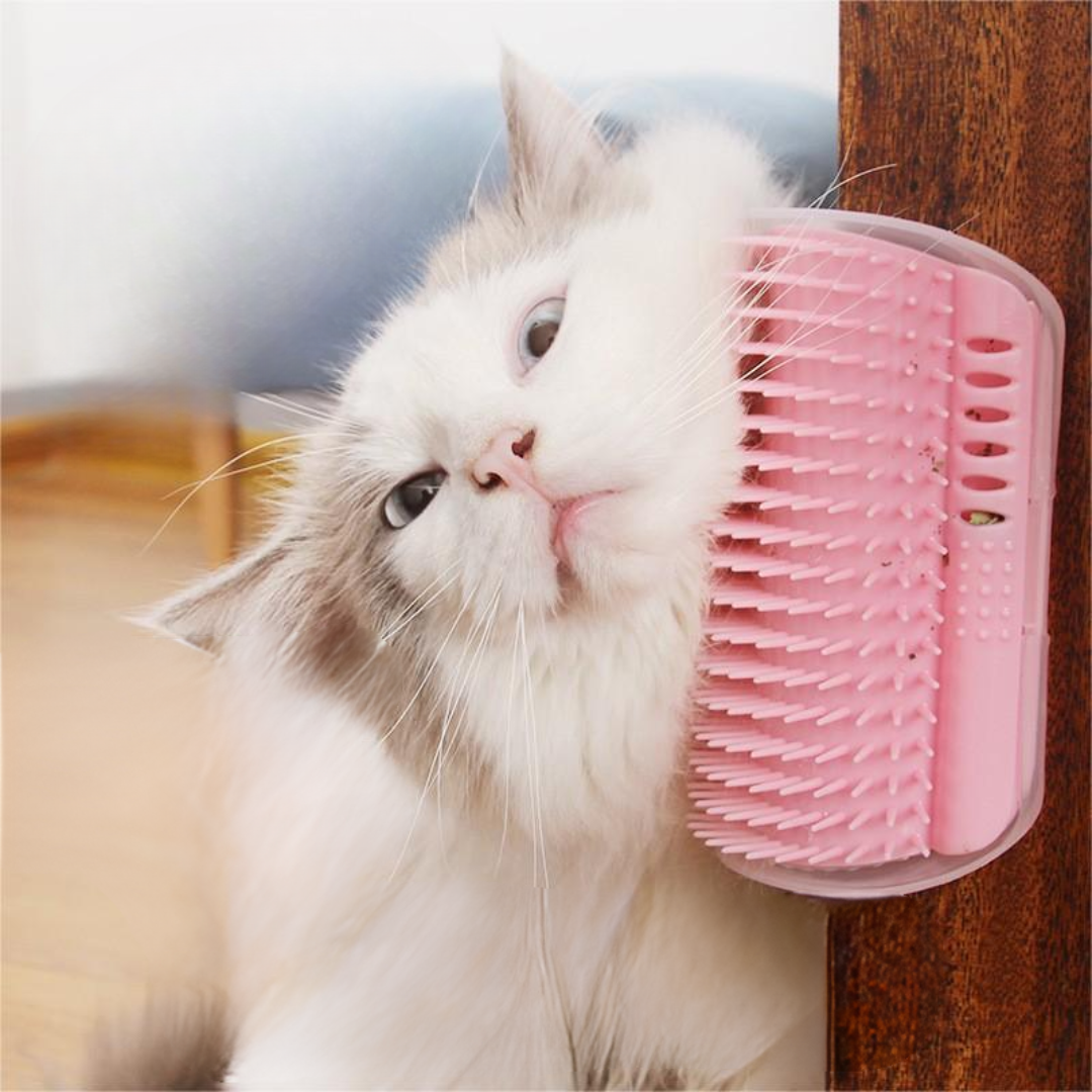 Escova de auto-higiene para gatos de estimação