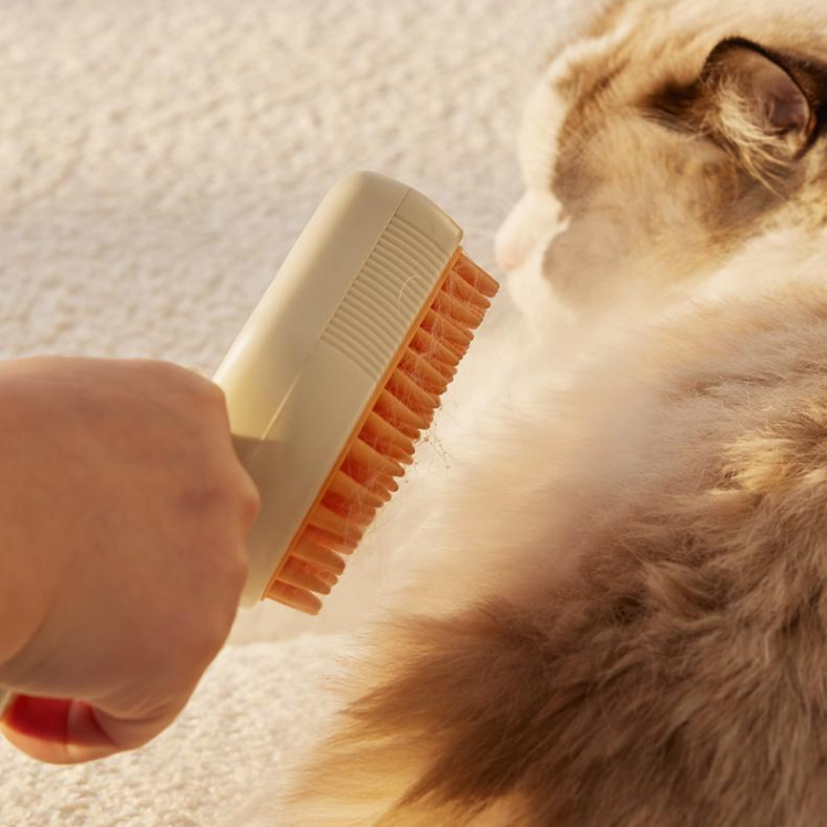 Huisdier Katten Spray Massage Kam Verzorgingsborstel