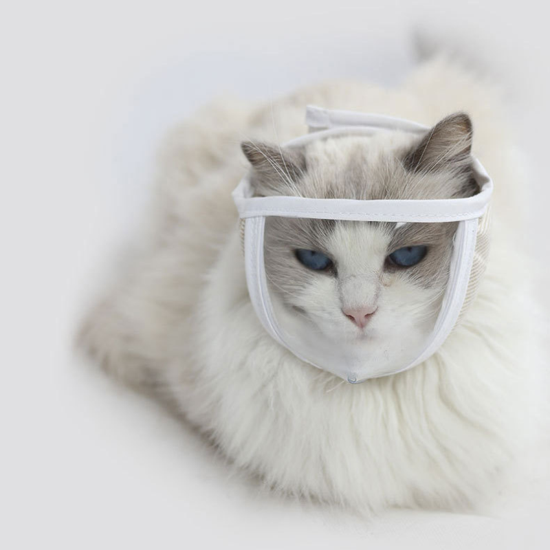 Transparent Anti-bite Mask for Cat Grooming