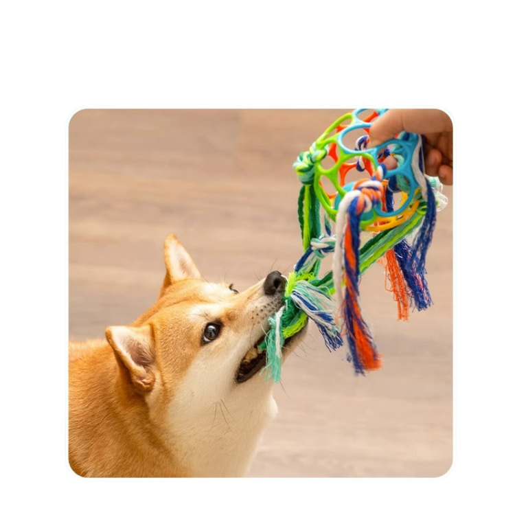 Brinquedos para cães de estimação com sino, bola e corda