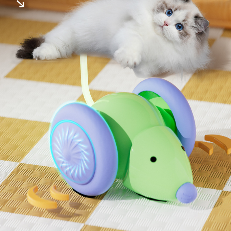 Interactive Mouse Chase Car Toy for Cats & Dogs
