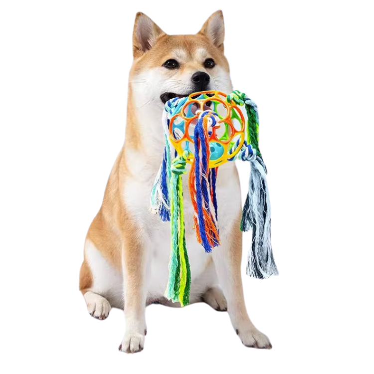 Juguetes de cuerda de bola de campana de perro mascota