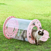 Transparent Rolling Pet Carrier