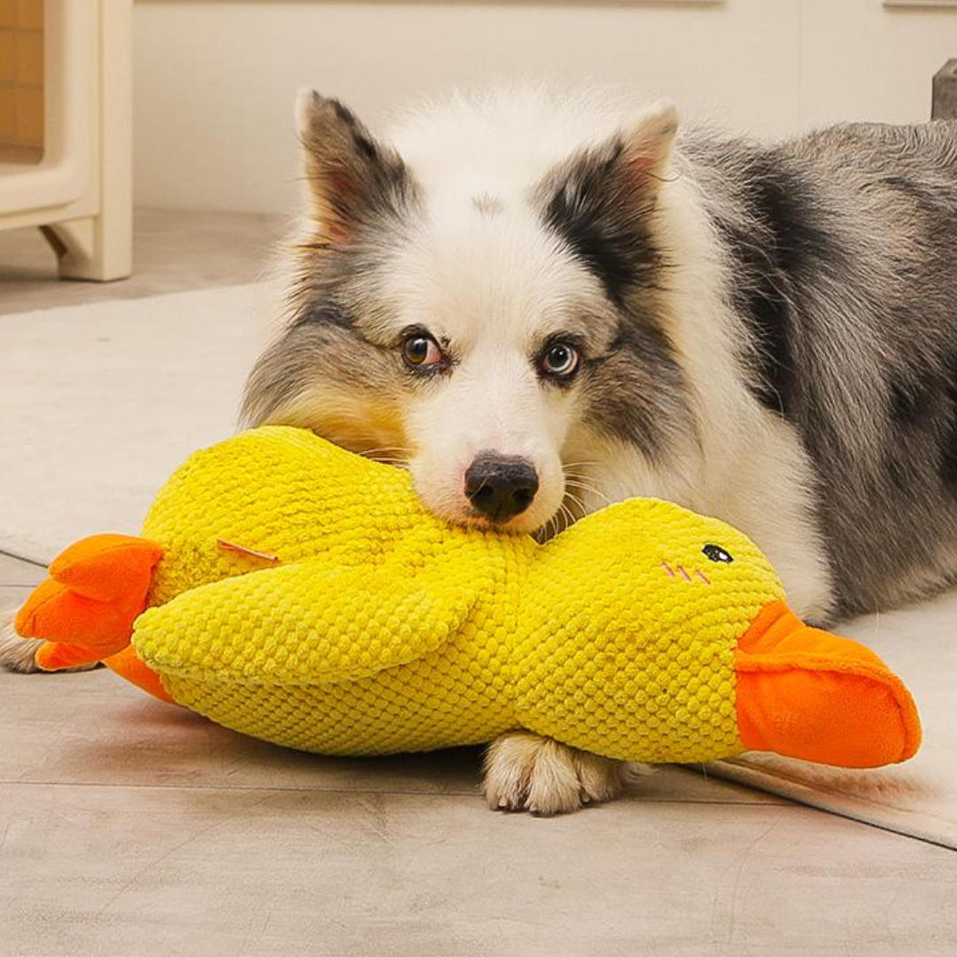 Brinquedos de cachorro de pelúcia com apito de pato