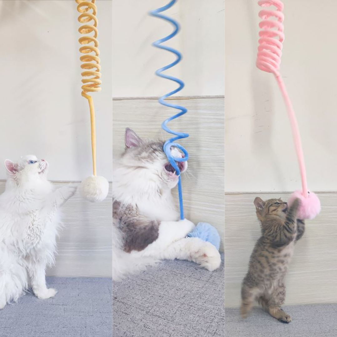Hängendes Katzenspielzeug mit baumelnden Federn und Glockenball