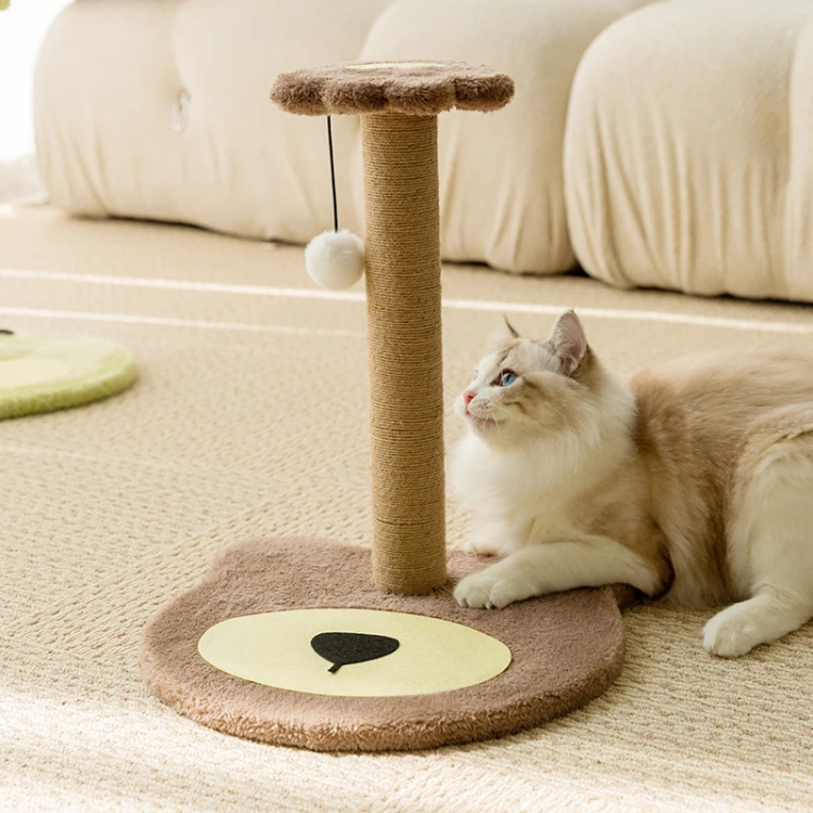 Adorable Compact Cat Scratching Post Toy