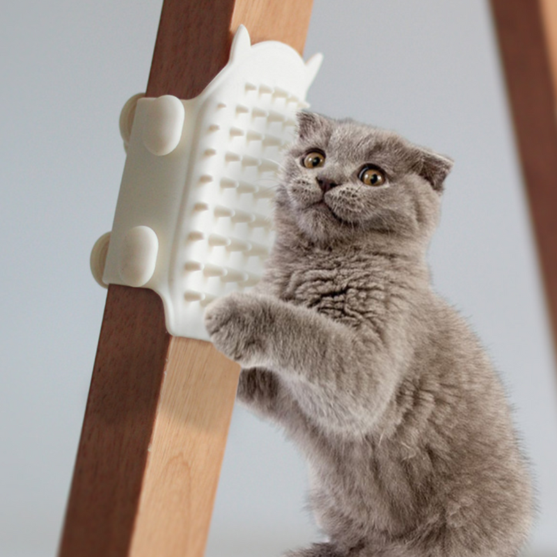 Silikon Kedi Kendi Tarama Masaj Fırçası