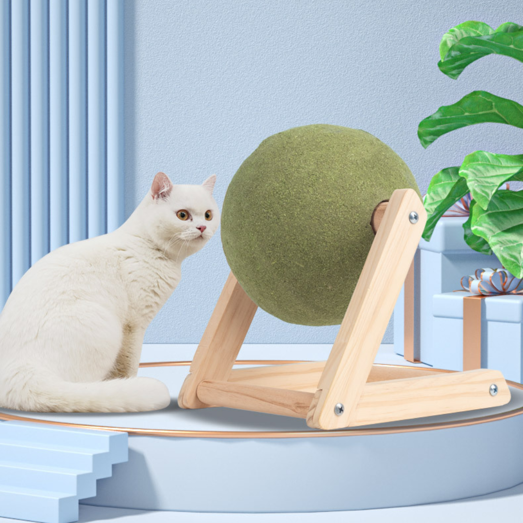 Katze dreht sich um Katzenminze leckende Ballspielzeuge