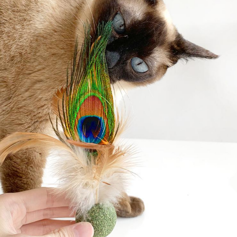 Catnip Ball Toys with Feather