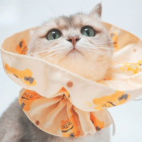 Adjustable Anti-scratch Cat Collar