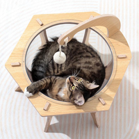 Transparent Cat Bed with Natural Sisal Ball