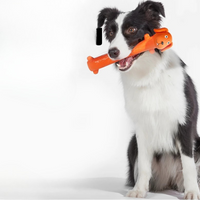 Safe And Fun Dog Chew Toy