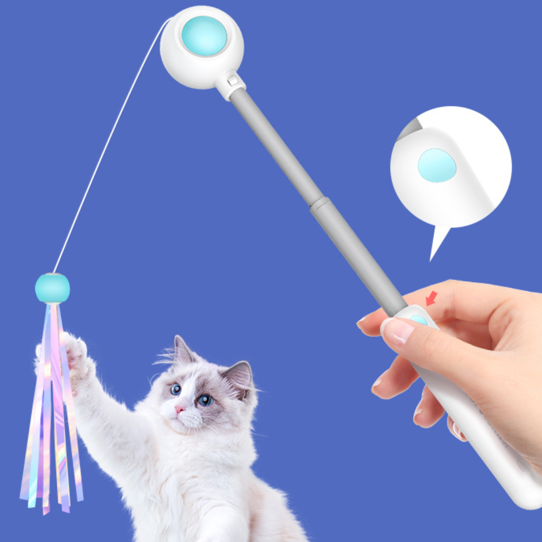 Cat Teaser Wand Toys With Laser Lights