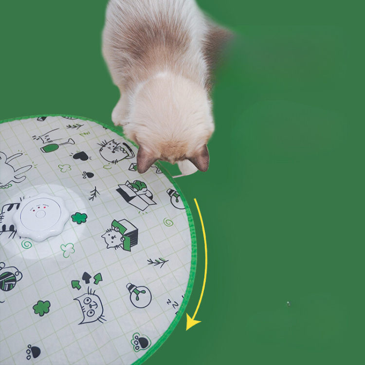 Interactive Electric Rotating Cat Toy – Pawpycup