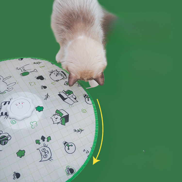 Interactive Electric Rotating Cat Toy