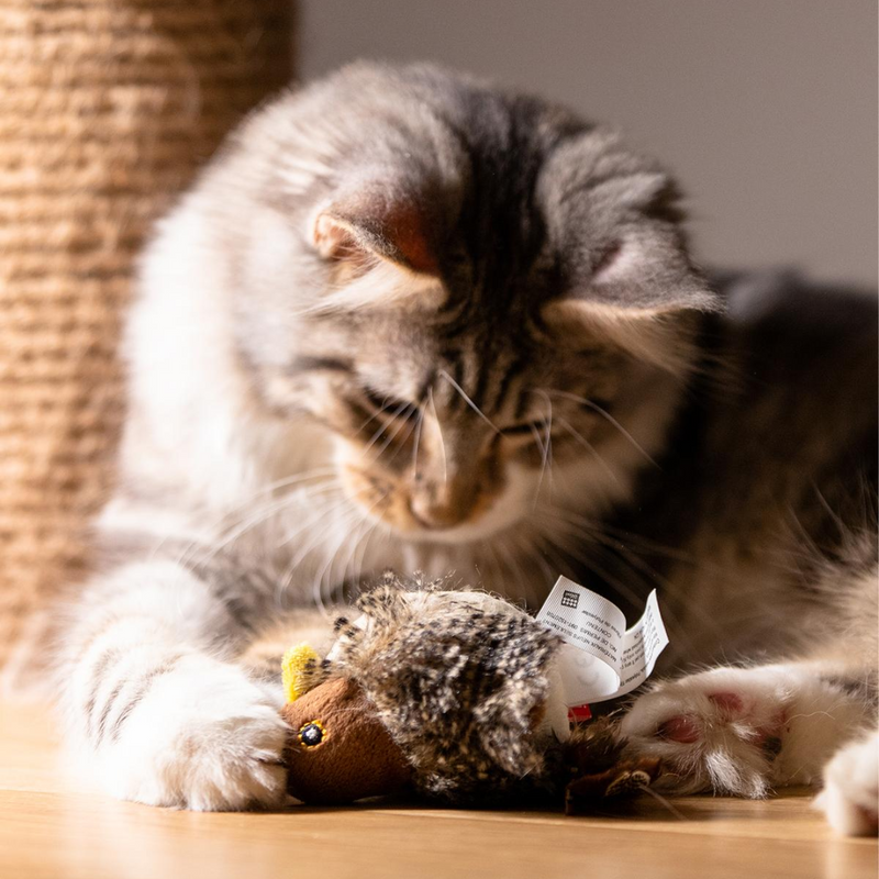 Bird Squeaker Toys For Cats Dogs