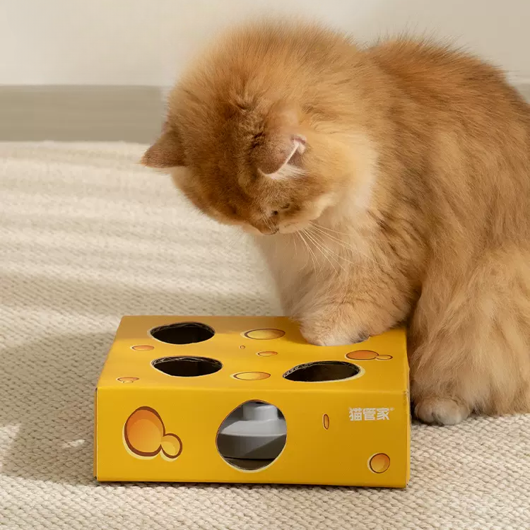 Elektrisches Whac-a-Mole-Katzenspielzeug, intelligente Käsebox