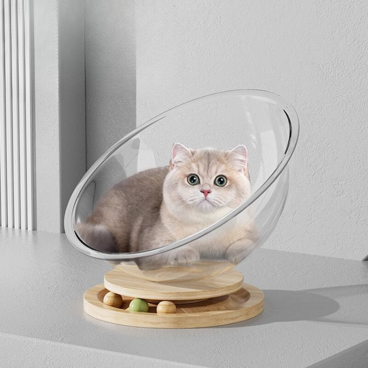 Space Capsule Acrylic Cat Bed