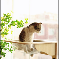 Modern Cat Window Hammock