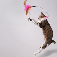 Juguetes con cuello de plumas para gatos, juguete interactivo para gatitos