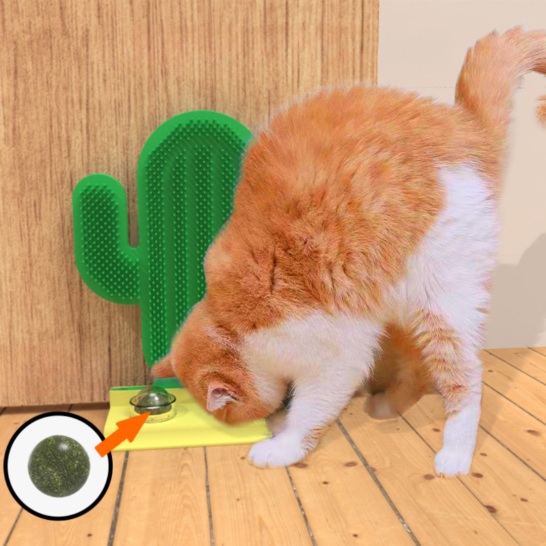 Cactus Cat Groomer Brush with Catnip