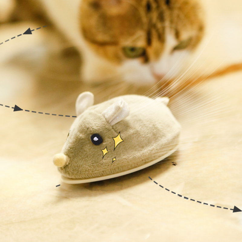 Interactief elektrisch racemuis kattenspeelgoed