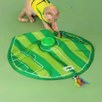 Cat Interactive Feather Toys