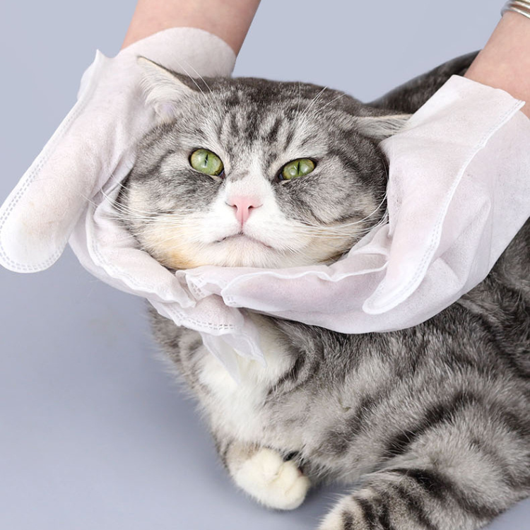 Toallitas desechables para guantes para mascotas