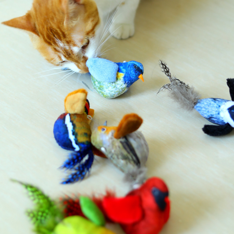 Jouets interactifs de chat de son d'oiseau réaliste avec la plume