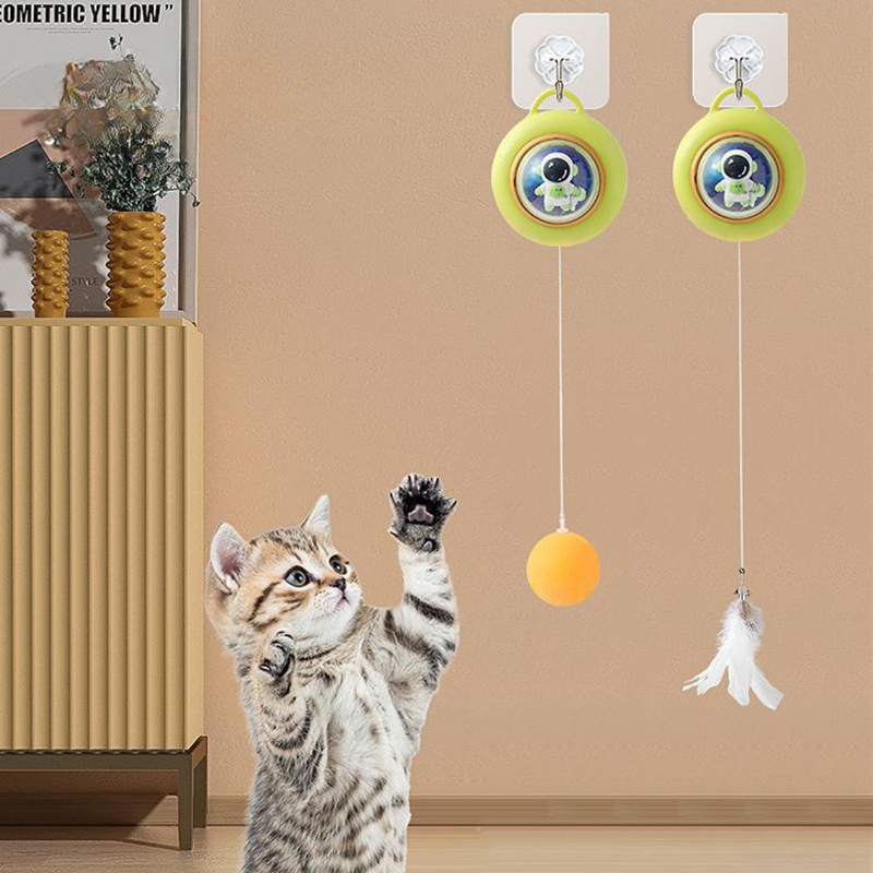 Giocattoli interattivi con palline pendenti per gatti appesi alla porta