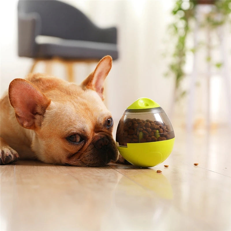 İnteraktif Evcil Hayvan Oyuncak IQ İkram Topu Gıda Dispenseri