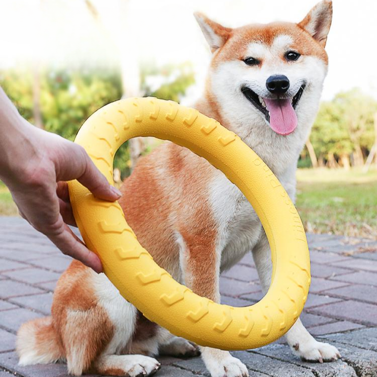 Juguetes de bolas con anillo para masticar para perros