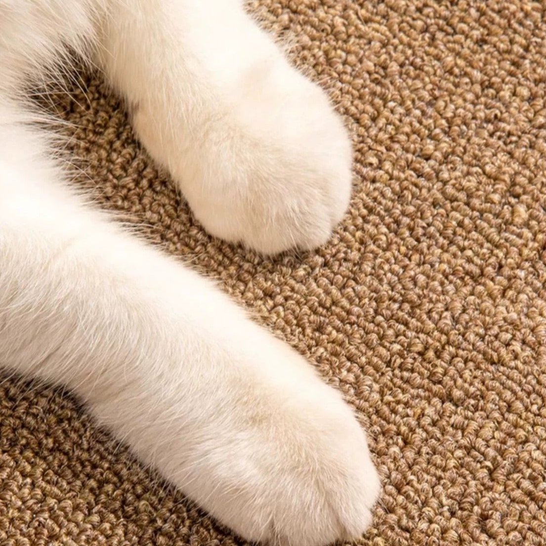 Cat Scratcher Mat Scratch-Resistant Pad for Furniture Protection