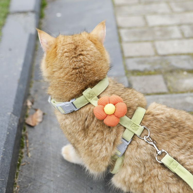 Prevent Escape I-shaped Adjustable Cat Leash Collar