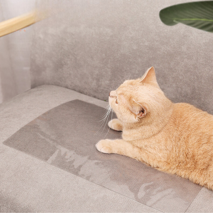 Protecteur de canapé transparent pour chat, anti-rayures pour chat