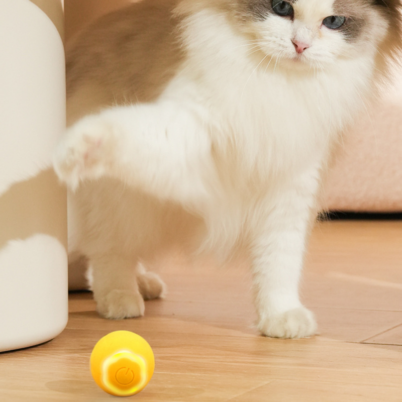 Giocattoli automatici a sfera rotolante per gatti
