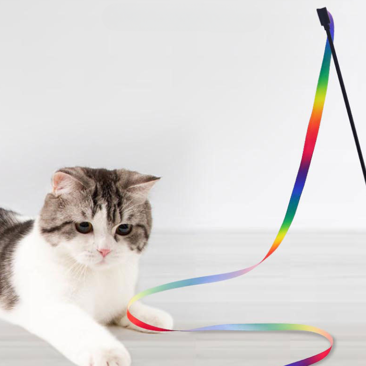Giocattolo teaser per gatti con nastro arcobaleno