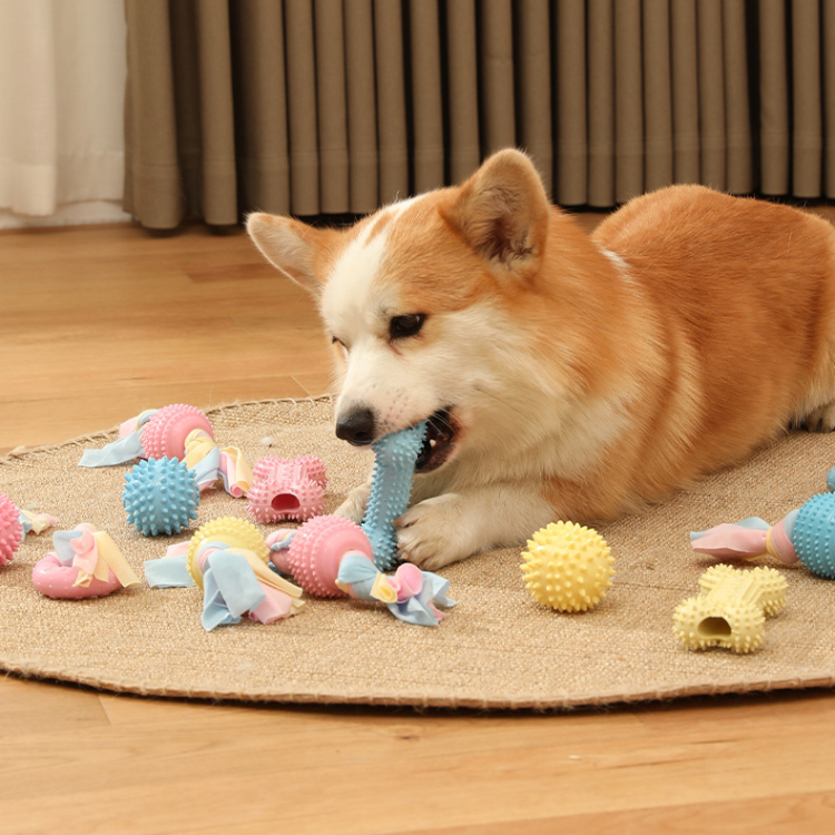 Hond TPR Kauw Tug Touw Speelgoed