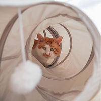 Tunnels pour chats, jouets pour chats d'intérieur, grotte