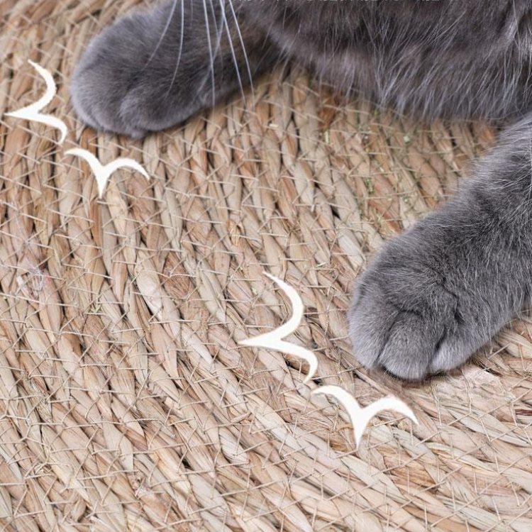 Cat Reed Case Reed Woven Cat Scratching Mat – Pawpycup