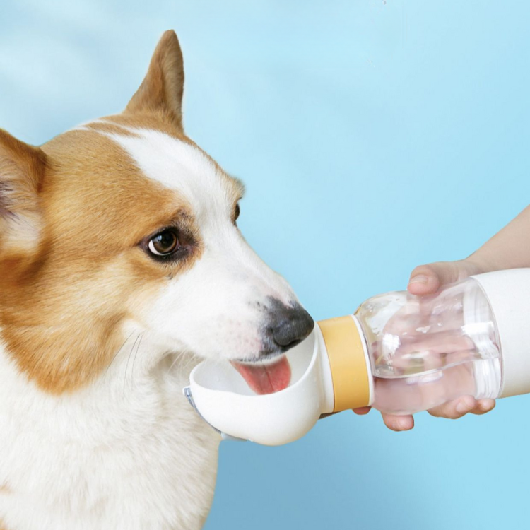Botella de agua potable para viajes de mascotas