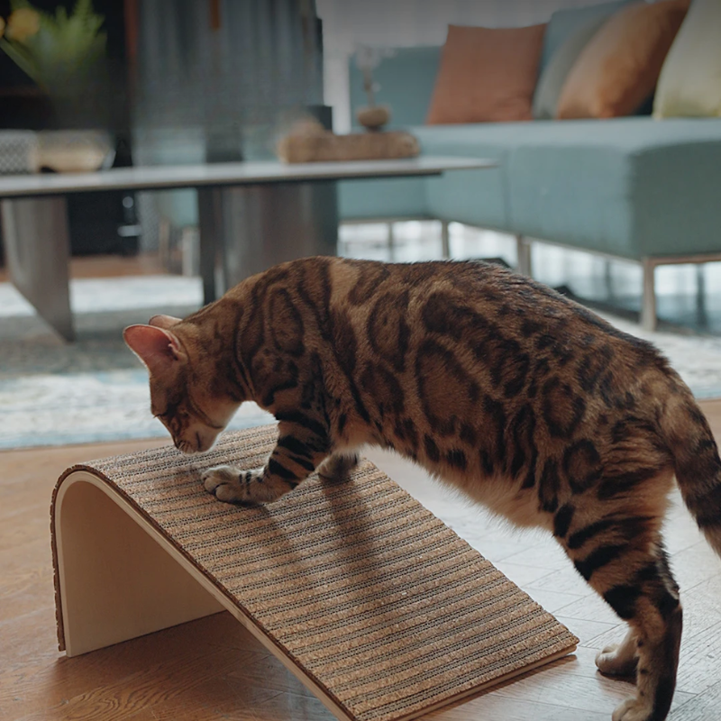 L-shaped Cat Scratching Board Scratching Toy