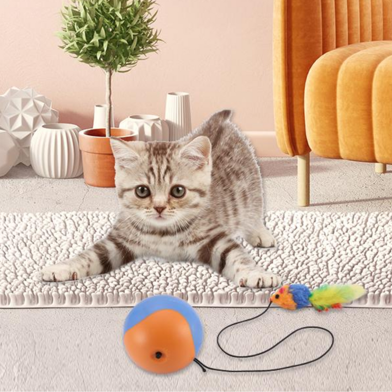 Juguetes de bola rodante para gatos con pluma de ratón